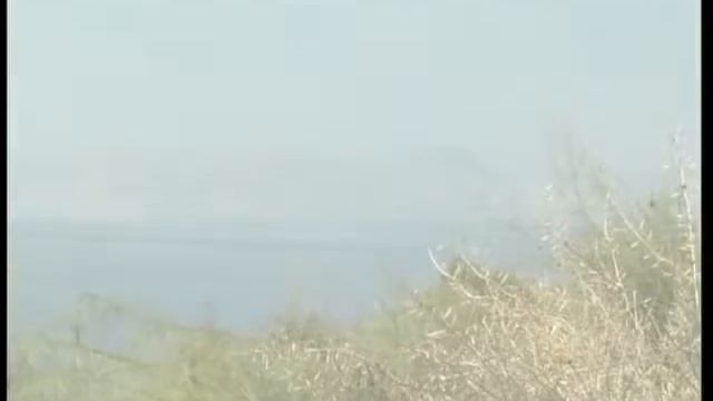 Preobrajenie.wmv смотреть онлайн