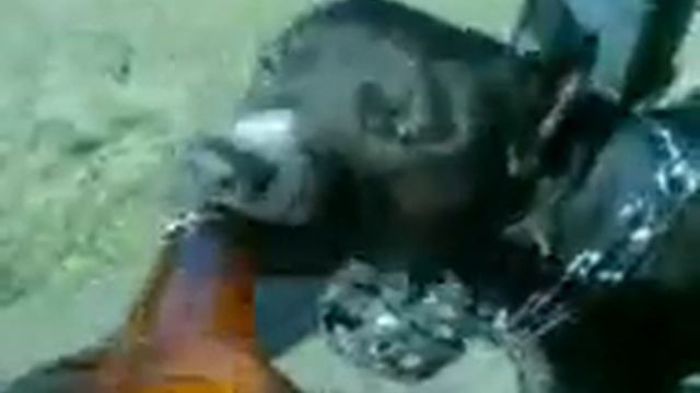 Барон бухает