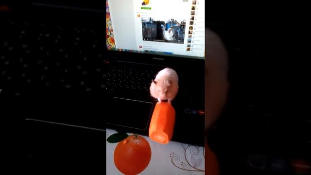 Фомкины щечки ))) смотреть онлайн