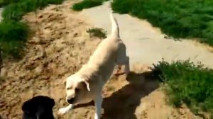 21 октября 2019 г.