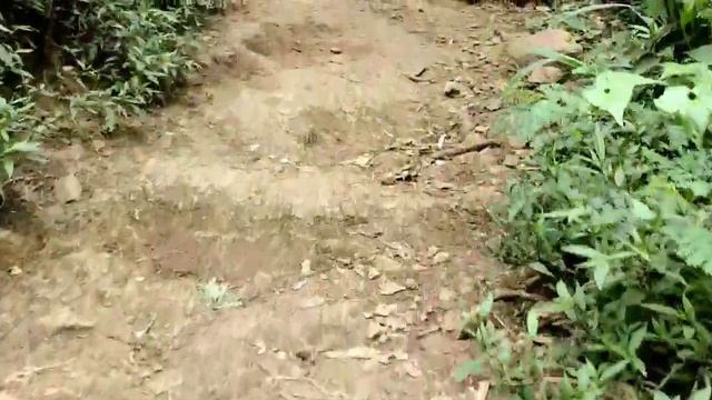 Pendakian Gunung Penanggungan via Tamiajeng|Kemcer #part1 смотреть онлайн