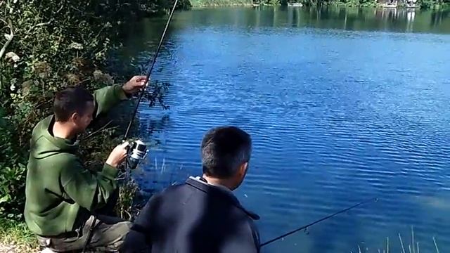 Tiger Nut over Red Band® & Groats hooks a double figure common carp смотреть онлайн