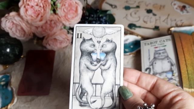 Таро Котов от Анны Хуан. Продолжение. Старшие Арканы. О Художнице смотреть онлайн