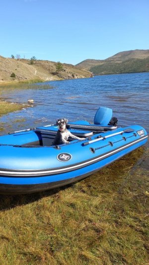 Чай на рыбалку возьми !