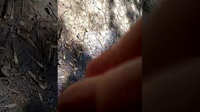 1.5 литров кокаколы+пищевая сода смотреть онлайн