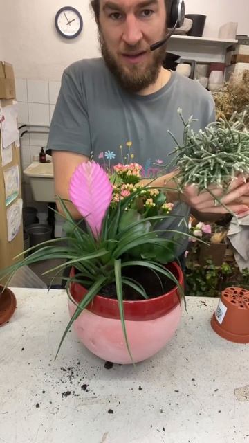 Pflanzenschale für das Wohnzimmer selber machen смотреть онлайн