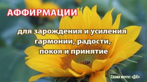 Аффирмации - для зарождения и усиления гармонии, радости, покоя и принятие