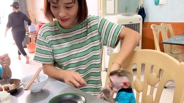 Monkey Puka has a delicious breakfast with his mother at the restaurant смотреть онлайн