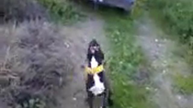 Pitbull alligator смотреть онлайн