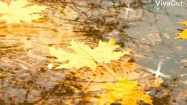 Берегите любовь Я+ТЫ 50 м смотреть онлайн