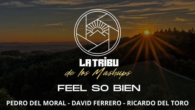 Pedro del Moral, David Ferrero y Ricardo del Toro - Feel so bien (La Tribu de los Mashups mix) смотреть онлайн