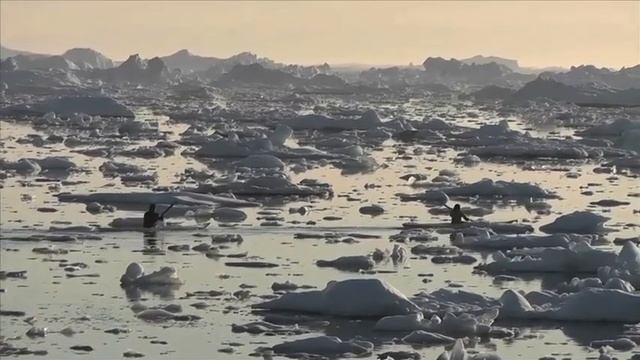 Qajaq Song 8 смотреть онлайн