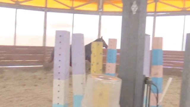 Гжель 26.11.2017