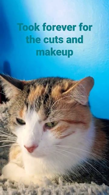 Nice makeup смотреть онлайн