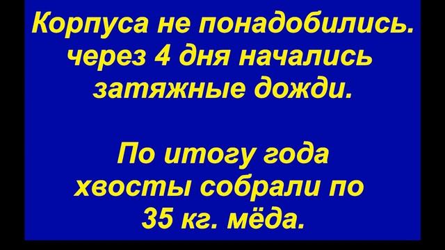 Работа хвостов на 6 июля 2023г смотреть онлайн
