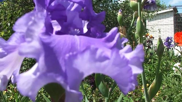 00141 смотреть онлайн