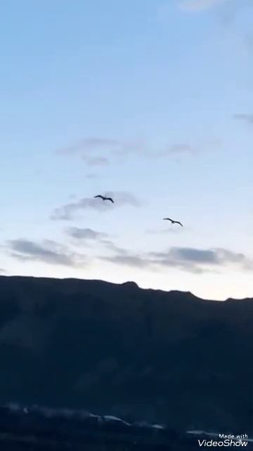 chitral hunting season смотреть онлайн