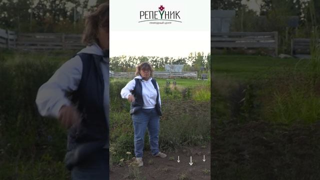 Срезать или не срезать? смотреть онлайн