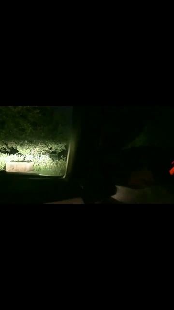 The ghost 💀💀 stopped the car 🚘️ #shortvideo #viralvideo смотреть онлайн