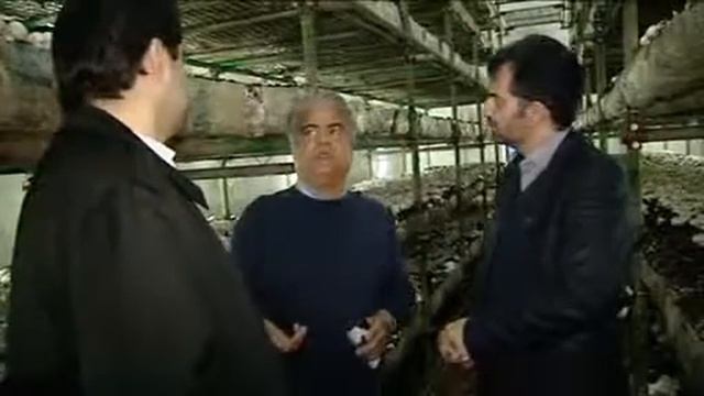 محصولات غذايي - عليرضا باي смотреть онлайн