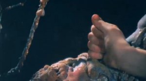 Мария, Мирабела. 1981 год.