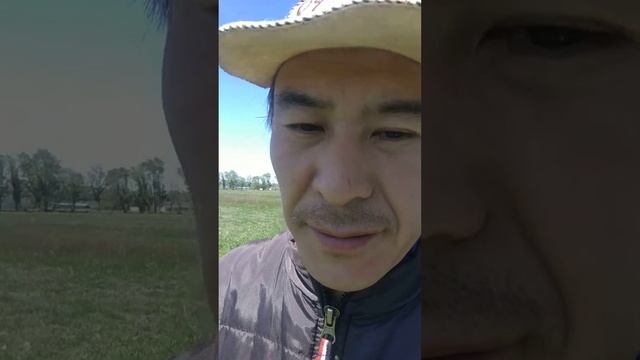 Жизнь в деревне. Бизнес на селе смотреть онлайн