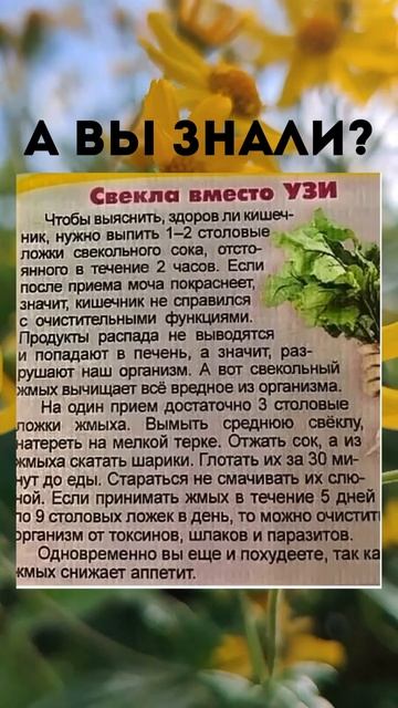 Свекла вместо УЗИ #полезныесоветы #shorts #свекла смотреть онлайн