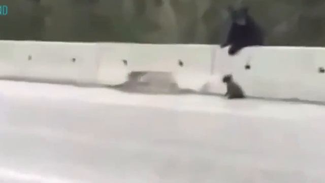 Это видео многих заставил плакать смотреть онлайн