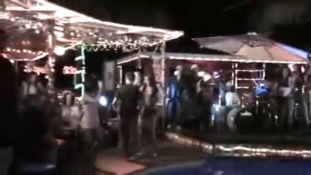 Phuket Flamingo's Getting Loud