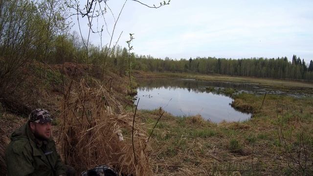 охота с подсадной на селезня весна 2023 смотреть онлайн