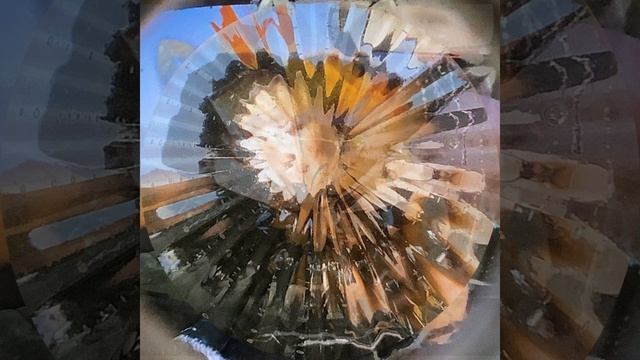 We Hate You Tori Anus!!!