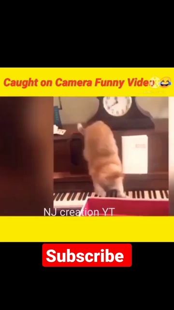 camera record funny videos 😱😱||@MRINDIANHACKER @MrBeast @CrazyXYZ #shorts #ytshorts #facts смотреть онлайн