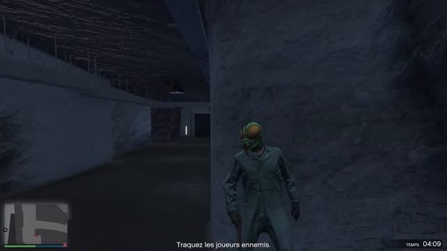 LA MOUCHE TUEUSE HAHA ! ( GTA 5  ) V