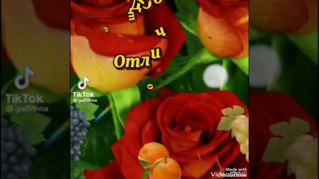 Тормыш кадере