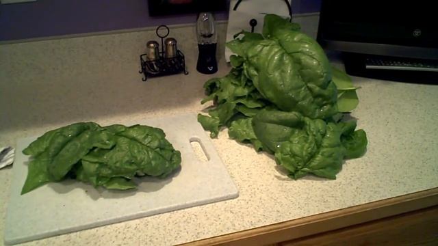 Freezing Spinich смотреть онлайн