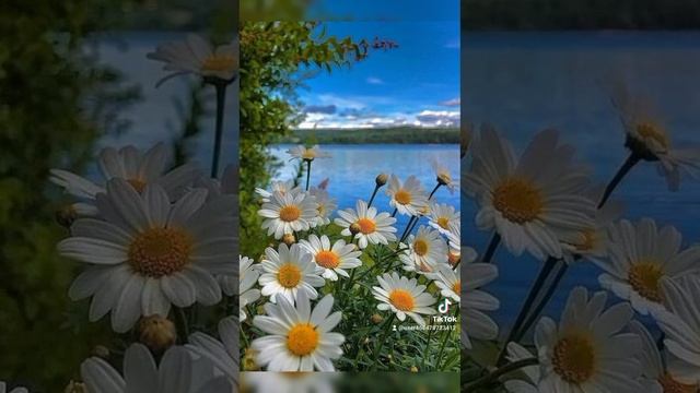 КРАСОТА ПОЛЁТА!. смотреть онлайн