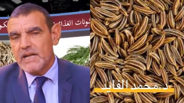 الفوائد الهائلة في حبوب الكروية الدكتور محمد الفايد смотреть онлайн