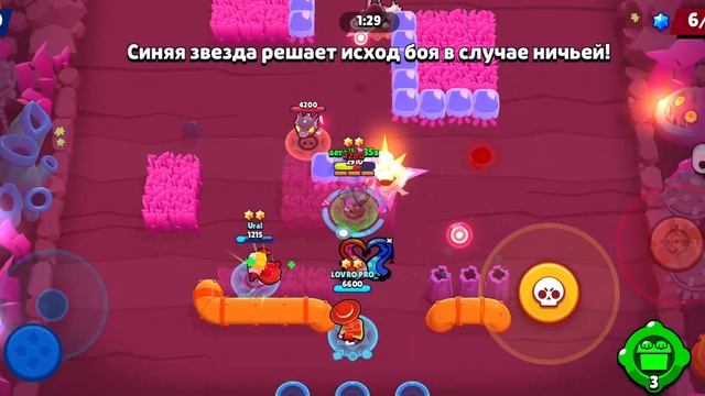 кит ты маму мав?