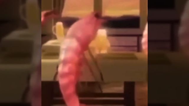 🍤 Гкатмика креветка 🍤 @Gc567 #music #музыка #песня #топ #креветка смотреть онлайн