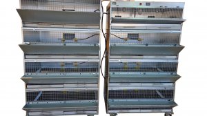 Миниферма для бройлеров