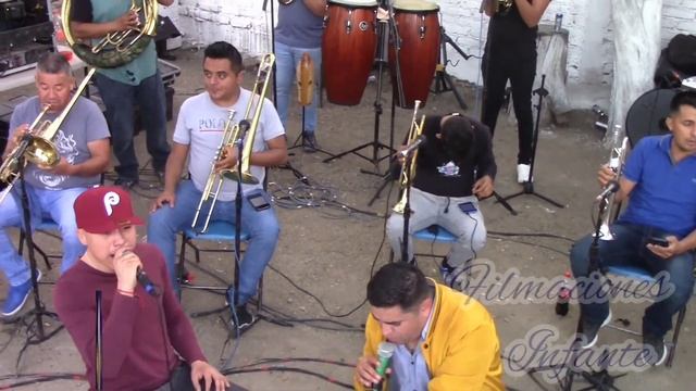 Banda El Mirasol de San Agustín del Mirasol #musica #band #funny #promo @YouTube #viralvideo смотреть онлайн
