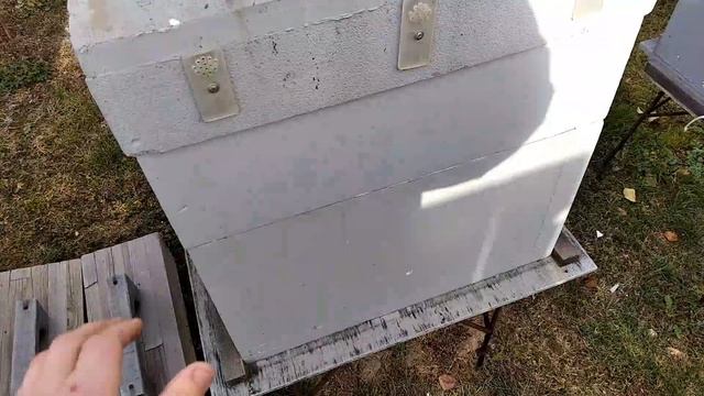 остановить работу пчеломатки в октябре и собрать пчёл в клуб смотреть онлайн