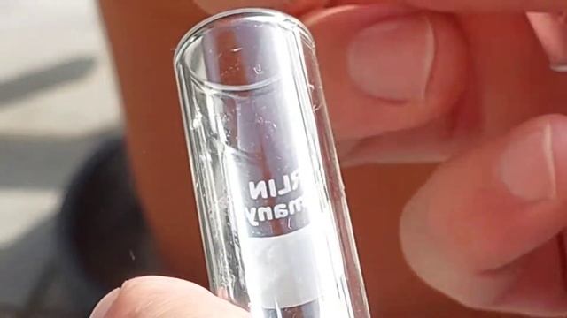 Stung By Fire Ants Ужаленные огненных муравьев Solenopsis Geminata 23.10.2022