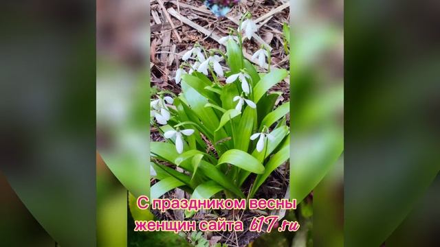 8 марта 2024 г. смотреть онлайн