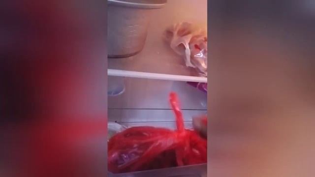 sore tgl 6/4/2023 sy Lina dirmh dadap VTB C12/4 hbis belanja sayur jg esok dirmh sj mau santai2 смотреть онлайн