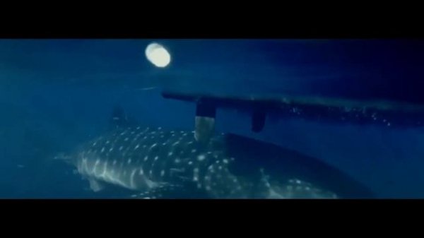 Kon-Tiki | Real Life Adventure Movie | Watch on NET5