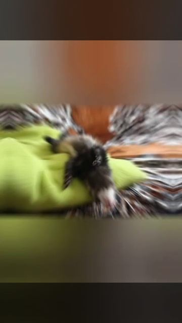 доброй ночи! смотреть онлайн