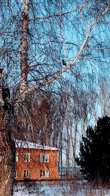 Кара что-то рассказывает смотреть онлайн