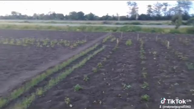 21 мая 2024 г. смотреть онлайн