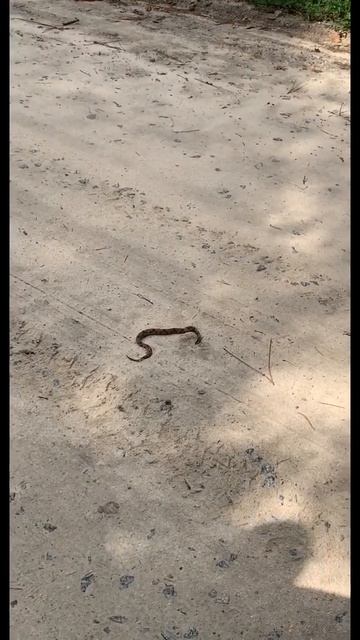 Copperhead down смотреть онлайн